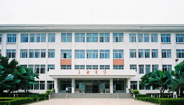 技术服务如何解决应用开发中的实际问题,提升效率