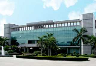 杨浦区基础款POLO衫定制厂家